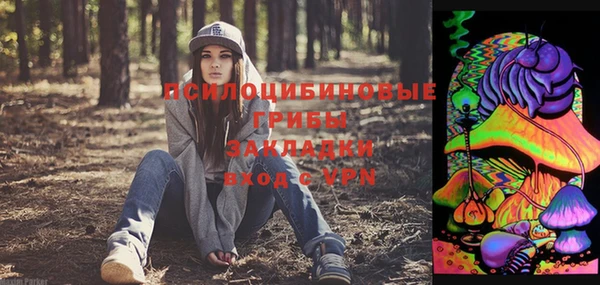 прущие крисы Алзамай
